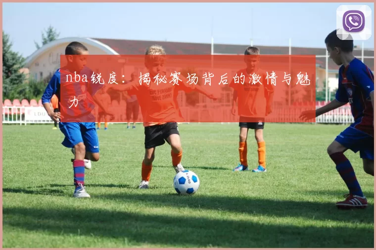 nba锐度：揭秘赛场背后的激情与魅力