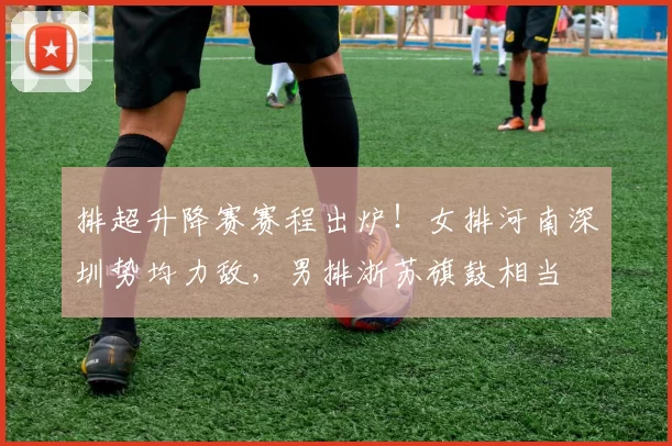 排超升降赛赛程出炉！女排河南深圳势均力敌，男排浙苏旗鼓相当