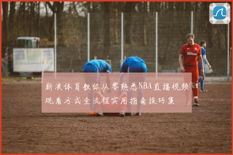 新浪体育教你从零熟悉NBA直播视频观看方式全流程实用指南技巧集