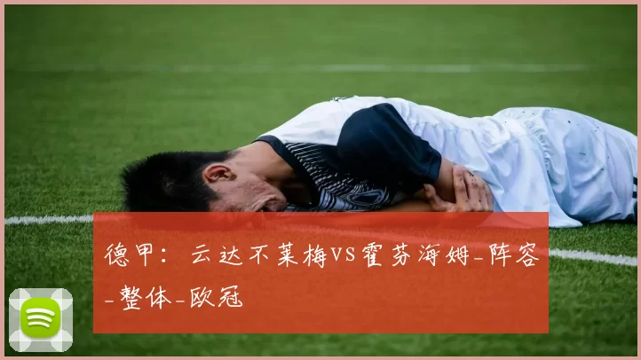 德甲:云达不莱梅vs霍芬海姆_阵容_整体_欧冠