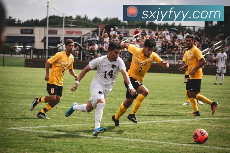 辅助工具 辅助工具